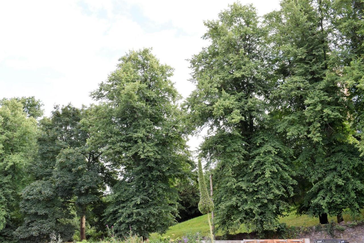 Berkeley Square Pads Διαμέρισμα Μπρίστολ Δωμάτιο φωτογραφία